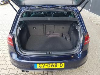 Volkswagen Golf 1.4 TSI GTE picture 26