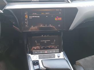 Audi E-tron e-tron 50 quattro Launch edition 71 kWh picture 19