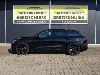 Audi E-tron e-tron 50 quattro Launch edition 71 kWh picture 2