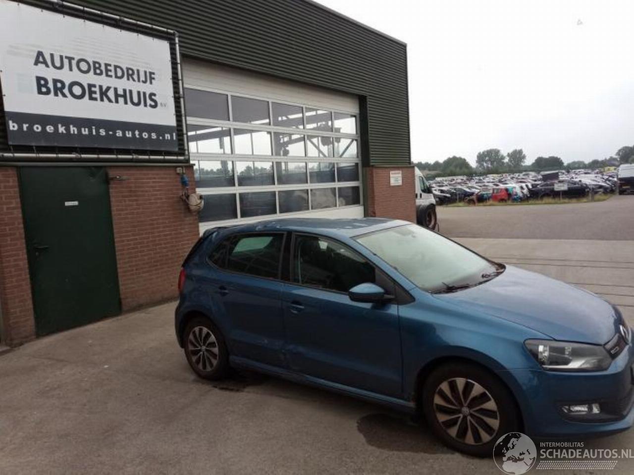 Volkswagen Polo Polo V (6R), Hatchback, 2009 / 2017 1.0 TSI 12V BlueMotion