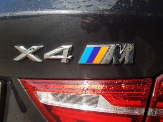 BMW X4 xDrive20d High Executive picture 25