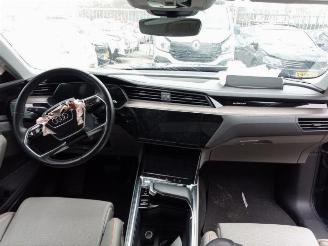 Audi E-tron e-tron (GEN), SUV, 2018 / 2023 55 quattro picture 10