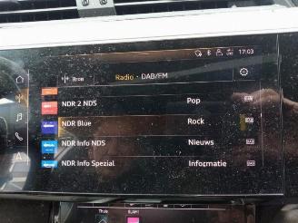 Audi E-tron e-tron (GEN), SUV, 2018 / 2023 55 quattro picture 29