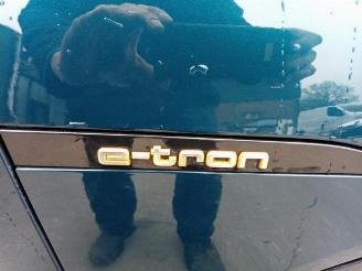 Audi E-tron e-tron (GEN), SUV, 2018 / 2023 55 quattro picture 16