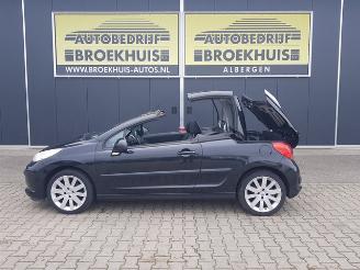 Peugeot 207 CC 1.6 VTi picture 2