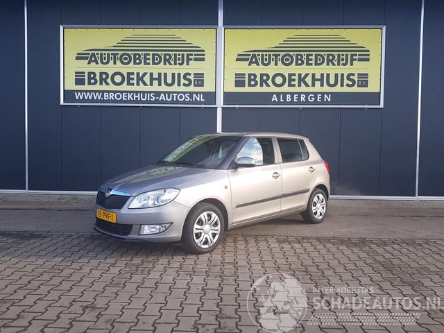 Skoda Fabia 1.2 TSI Ambition DSG automatic