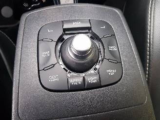 Renault Scenic 2.0 Bose Automatic picture 27