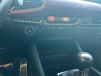 Mazda 3 2.0 e-SkyActiv-X M Hybrid 180 Luxury picture 21