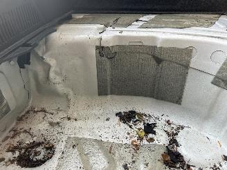 Seat Ibiza 1.0 TSI FR Business Intense D S G picture 13