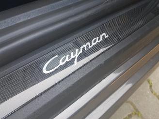 Porsche 718 Cayman 2.0 picture 22