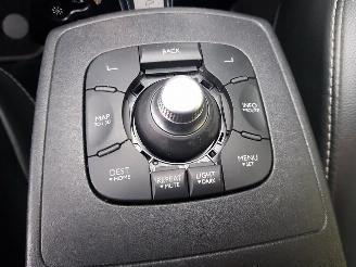 Renault Scenic 2.0 Bose Automatic picture 27