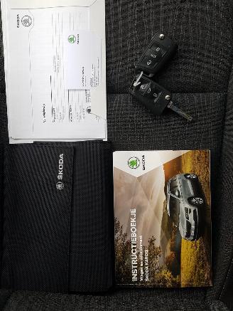 Skoda Karoq 1.5 TSI ACT Style Business DSG picture 27
