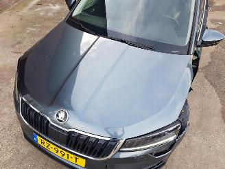 Skoda Karoq 1.5 TSI ACT Style Business DSG picture 10