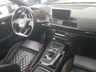 Audi Q5 3.0 TFSI SQ5 quattro Pro Line Plus picture 16