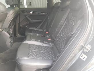 Audi Q5 3.0 TFSI SQ5 quattro Pro Line Plus picture 13