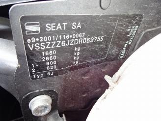 Seat Ibiza  picture 13