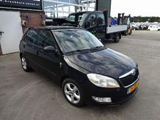 Skoda Fabia  picture 3