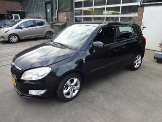 Skoda Fabia  picture 2
