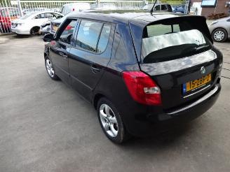 Skoda Fabia  picture 5