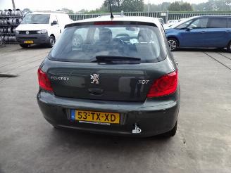 Peugeot 307  picture 6