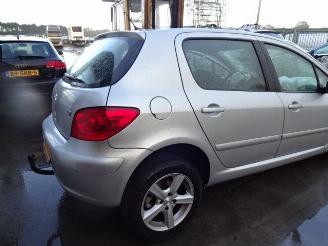 Peugeot 307  picture 5