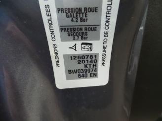 Peugeot 207  picture 9