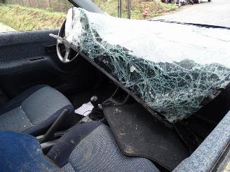 Daihatsu Terios 1.3 i picture 5