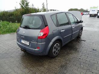disassembly passenger cars Renault Scenic 1.5 dCi 2006/1