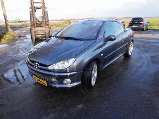 Peugeot 206 CC 1.6 16v picture 3