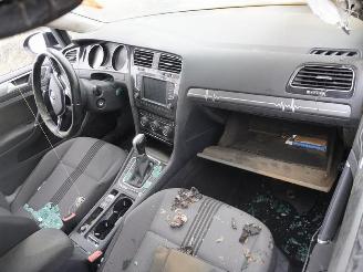 Volkswagen Golf Variant 1.6 TDi picture 5