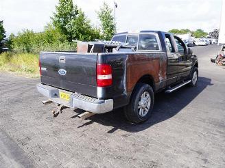 Verwertung Van Ford USA F-150 5.4 4*4 2004/7