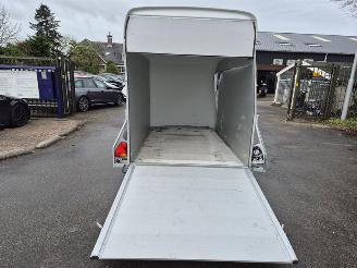 Cheval Liberte Debon  picture 6