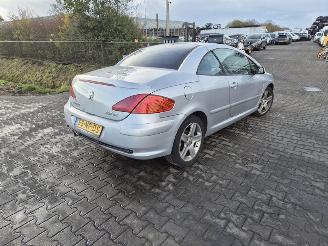  Peugeot 307 CC 2.0 16v 2004/1