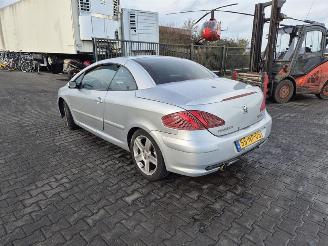 Peugeot 307 CC 2.0 16v picture 2
