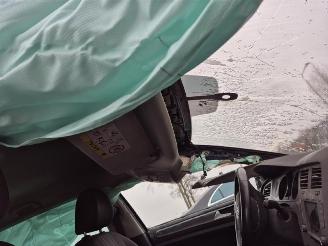 Volkswagen Golf Variant 1.4 TSi picture 18