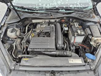 Volkswagen Golf Variant 1.4 TSi picture 19