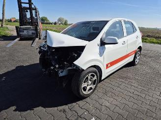 Kia Picanto 1.0 12v picture 3