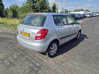 Sloopauto Skoda Fabia 1.2 TSi 2012/7