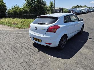 Sloopauto Kia Pro cee d 1.4 2010/2