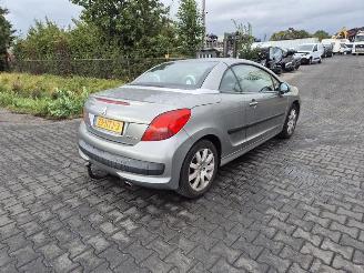 Sloopauto Peugeot 207 CC 1.6 Vti 2007/1