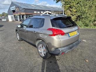 Peugeot 2008 1.2 12v picture 2