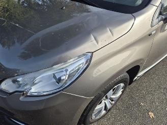 Peugeot 2008 1.2 12v picture 5