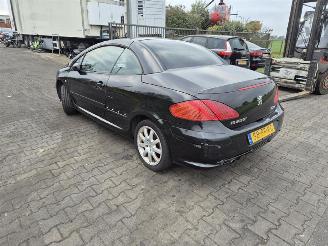 Peugeot 307 CC 2.0 picture 2