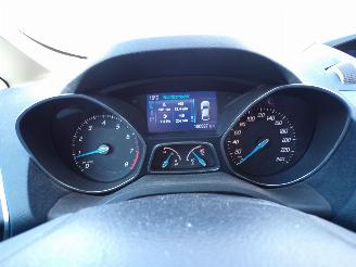 Ford C-Max 1.6 EcoBoost Titaniun picture 5