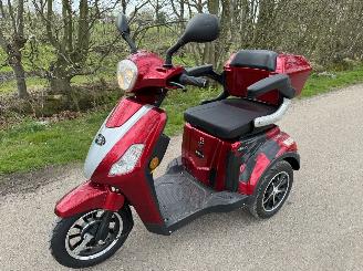 Vaurioauto  scooters Overige   2023/1