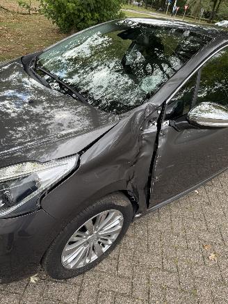 Peugeot 208  picture 9
