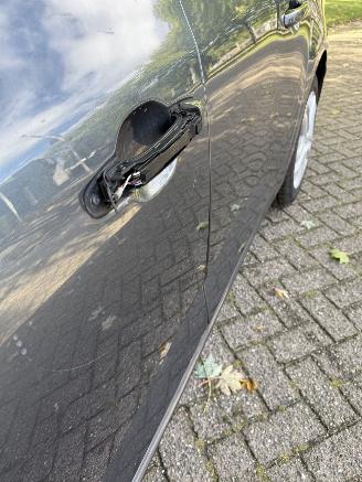 Renault Mégane  picture 13