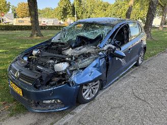 krockskadad bil auto Volkswagen   2017/1