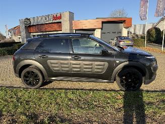 Citroën C4 cactus  picture 6