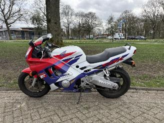 Honda CBR 600  picture 2